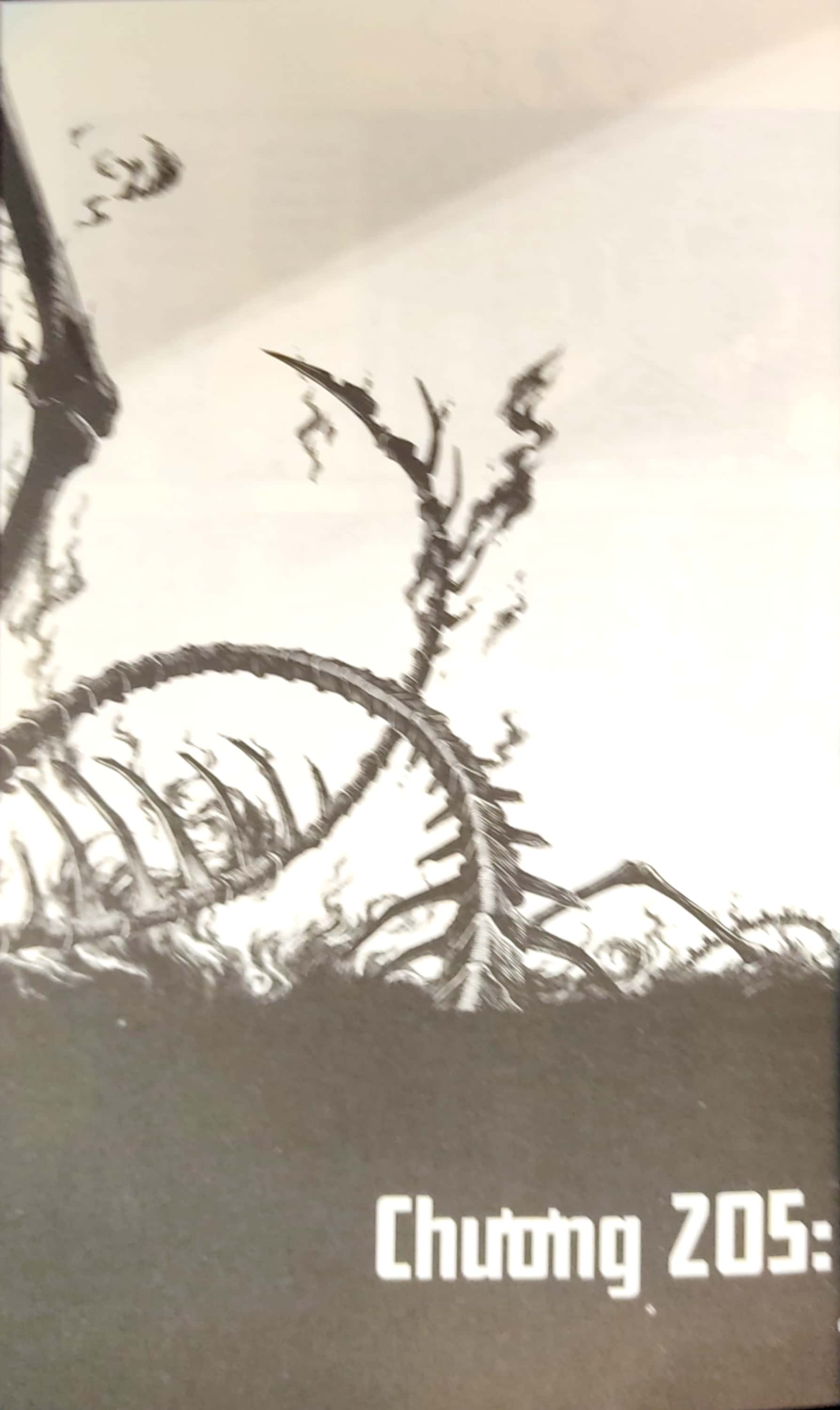 bộ fire force - tập 24 - tặng kèm bookmark giấy hình nhân vật