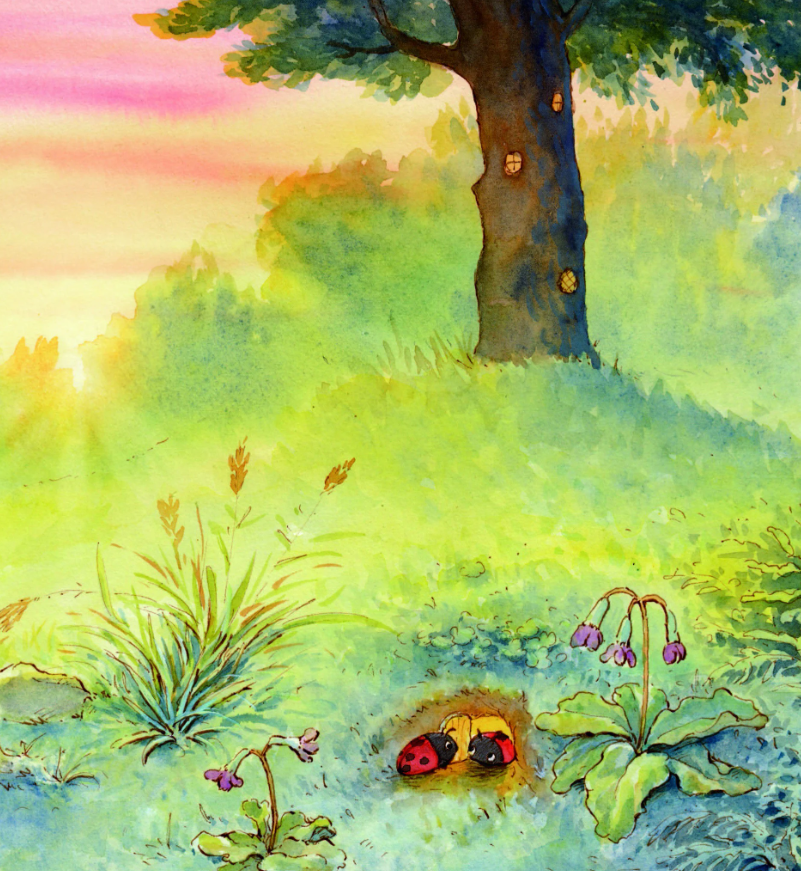 bộ gấu anh - gấu em - tập 2 - ngủ một mình