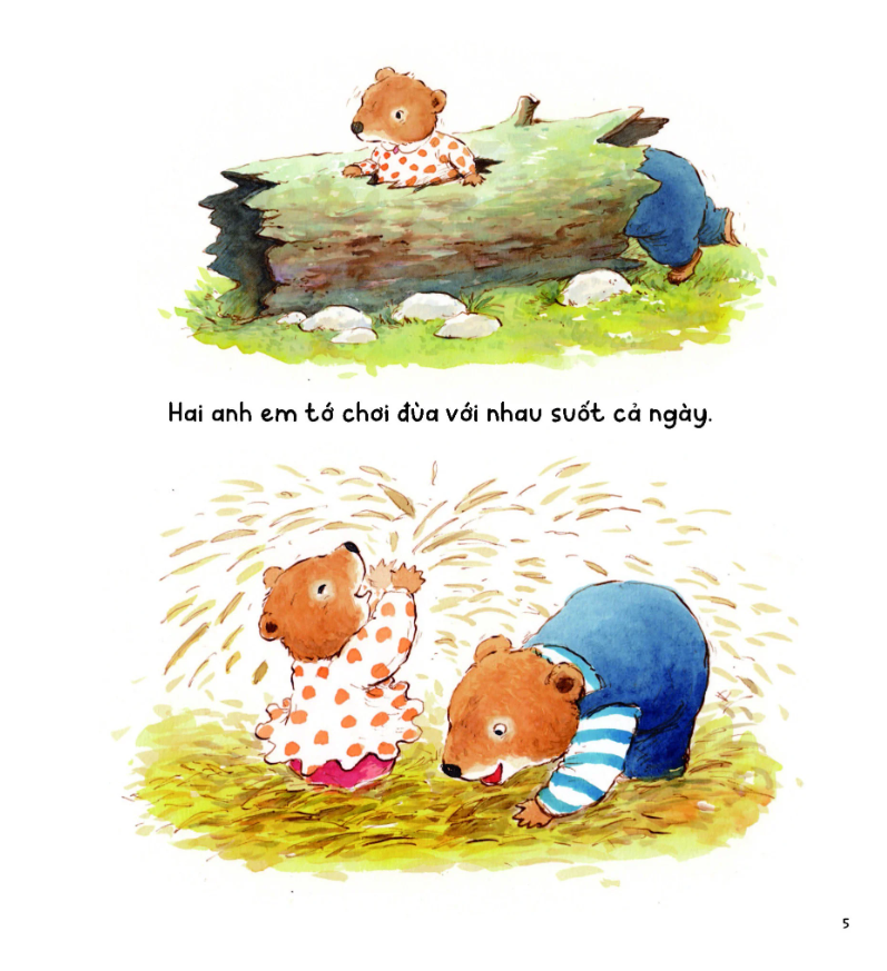 bộ gấu anh - gấu em - tập 3 - tại anh không cẩn thận