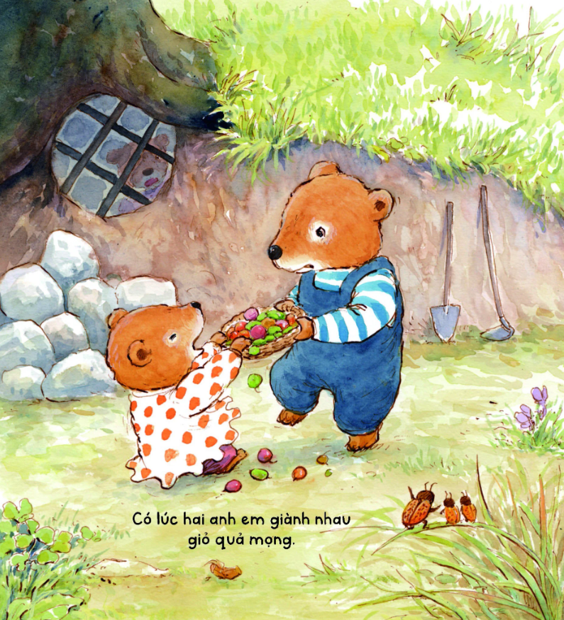 bộ gấu anh - gấu em - tập 3 - tại anh không cẩn thận