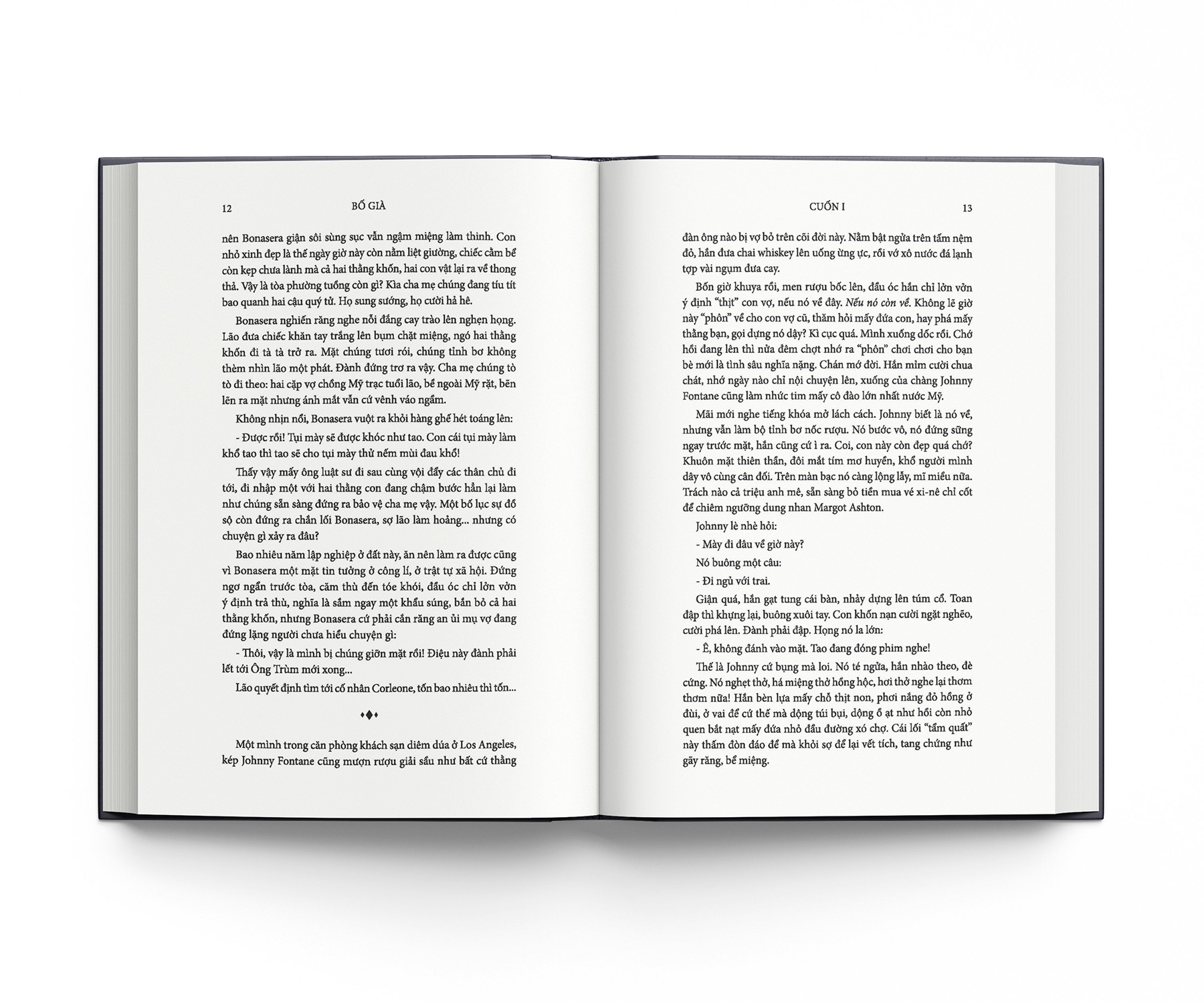 bố già - bìa cứng