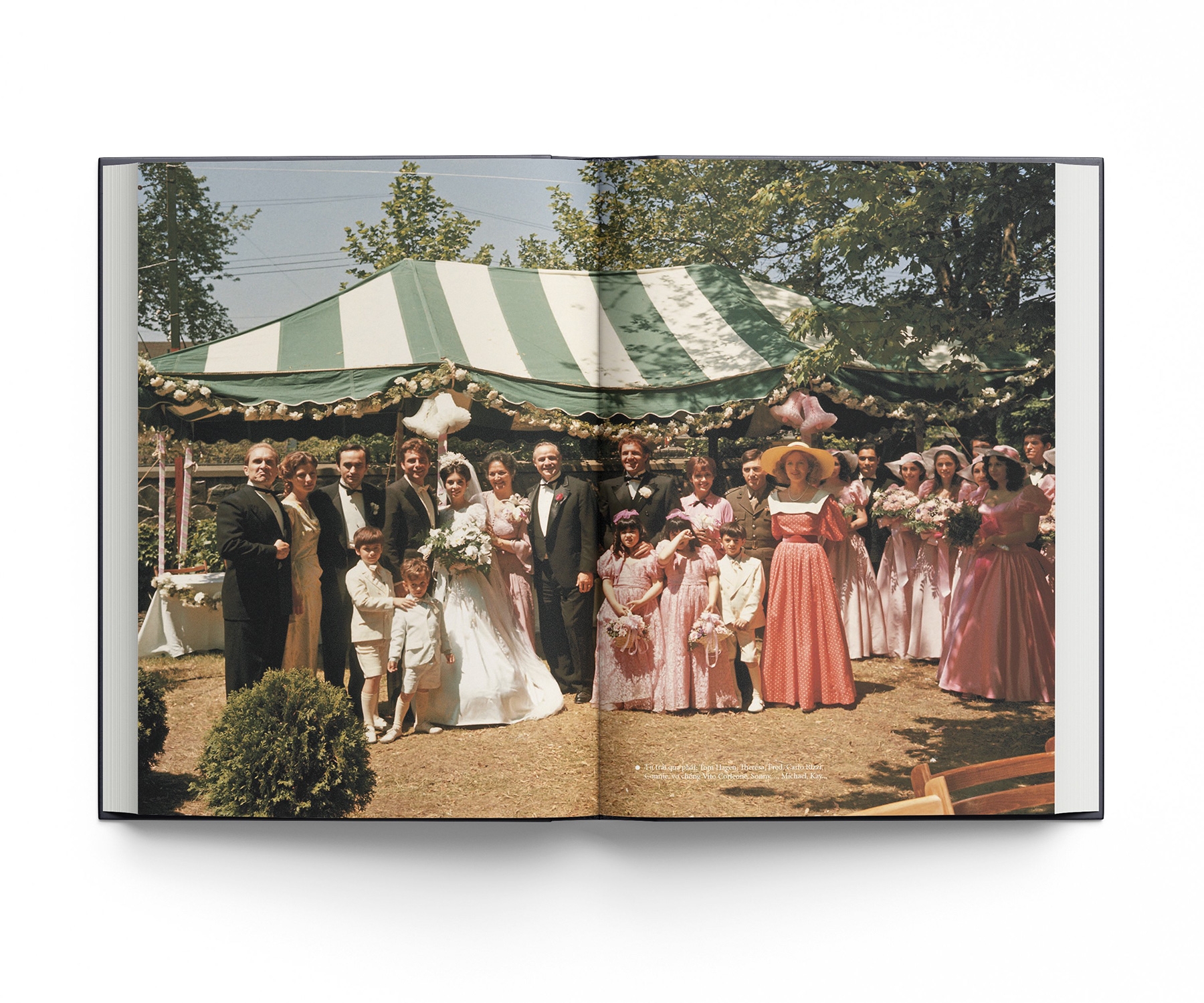 bố già - bìa cứng