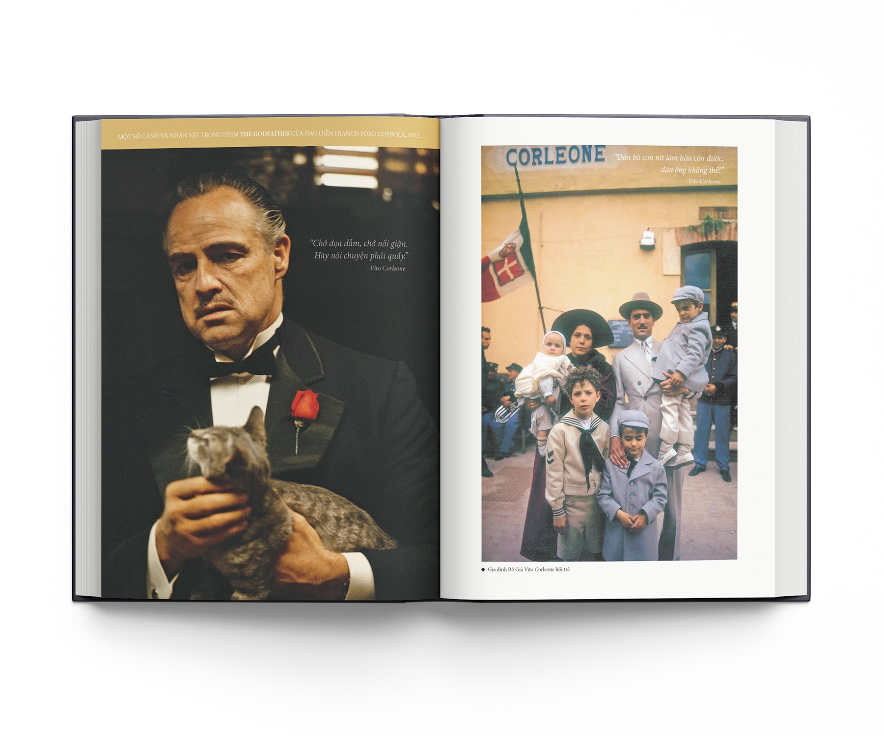 bố già - bìa cứng