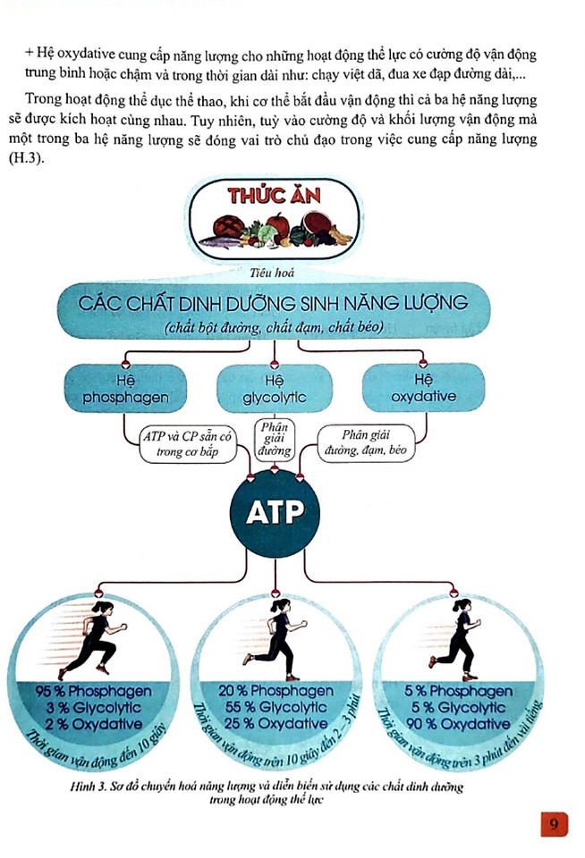 Bo
						
										
										Giao Duc The Chat 12 - Bong Da (Canh Dieu) (Chuan)