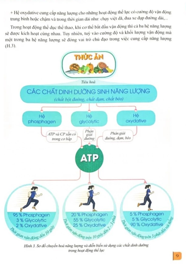 Bo
						
										
										Giao Duc The Chat 12 - Bong Ro (Canh Dieu) (Chuan)