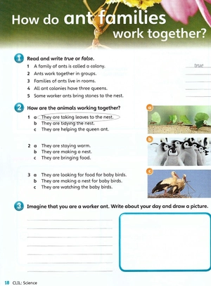 bộ guess what! level 5 activity book with online resources british english