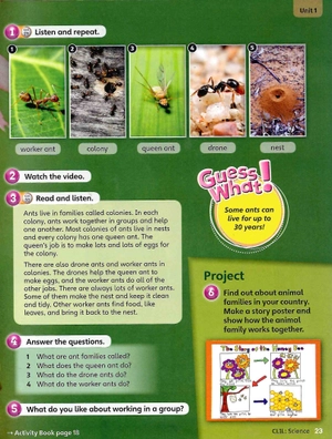 bộ guess what! level 5 pupil's book british english