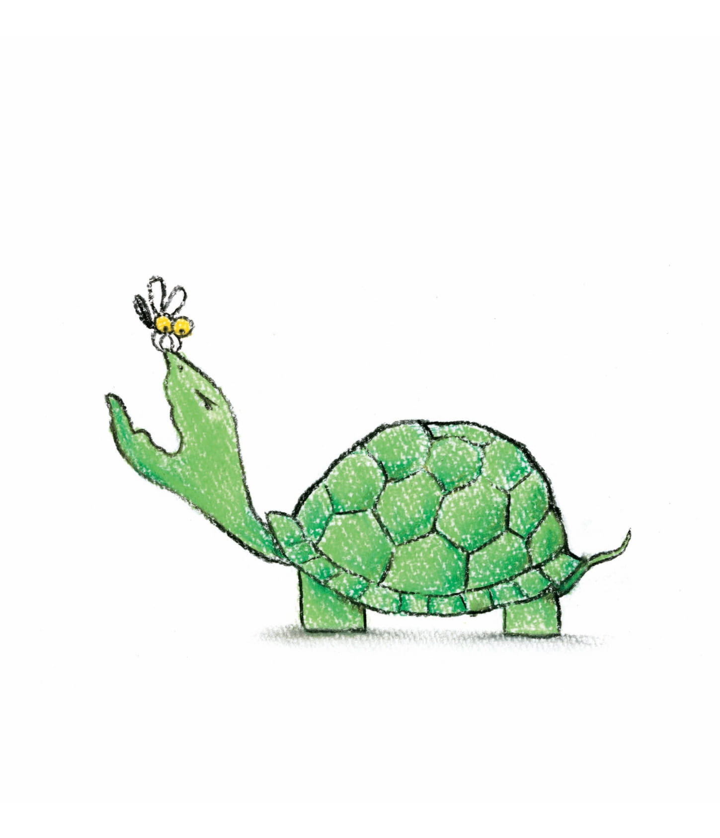 bộ ha… ha… hắt xì! - tranh truyện ehon nhật bản