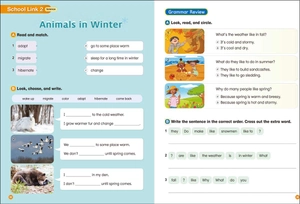 bộ hand in hand 4 workbook
