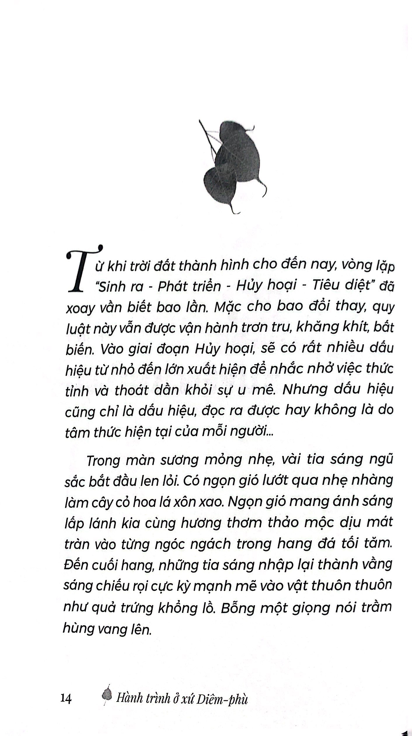 bộ hành trình ở xứ diêm-phù - tập 1