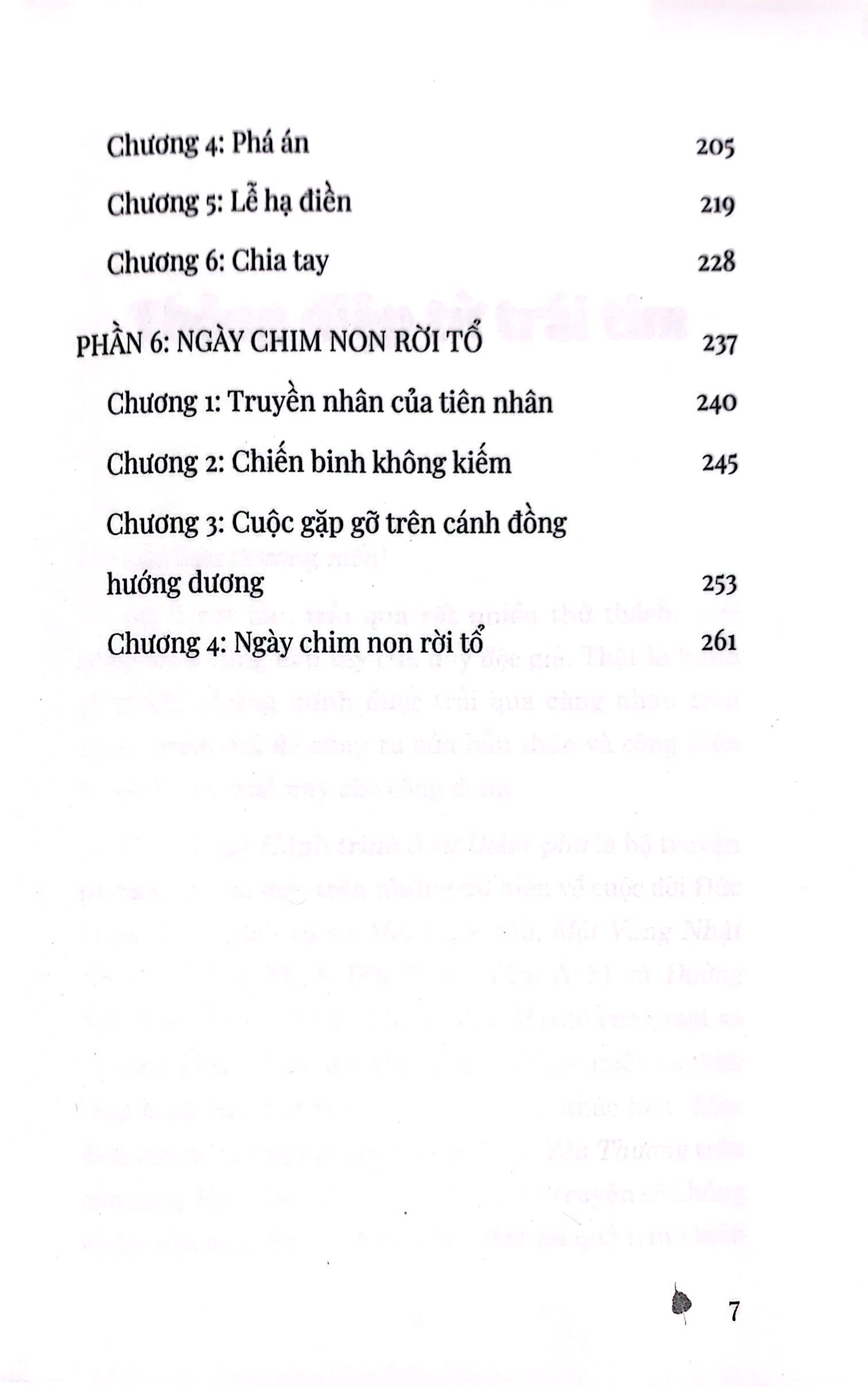 bộ hành trình ở xứ diêm-phù - tập 1