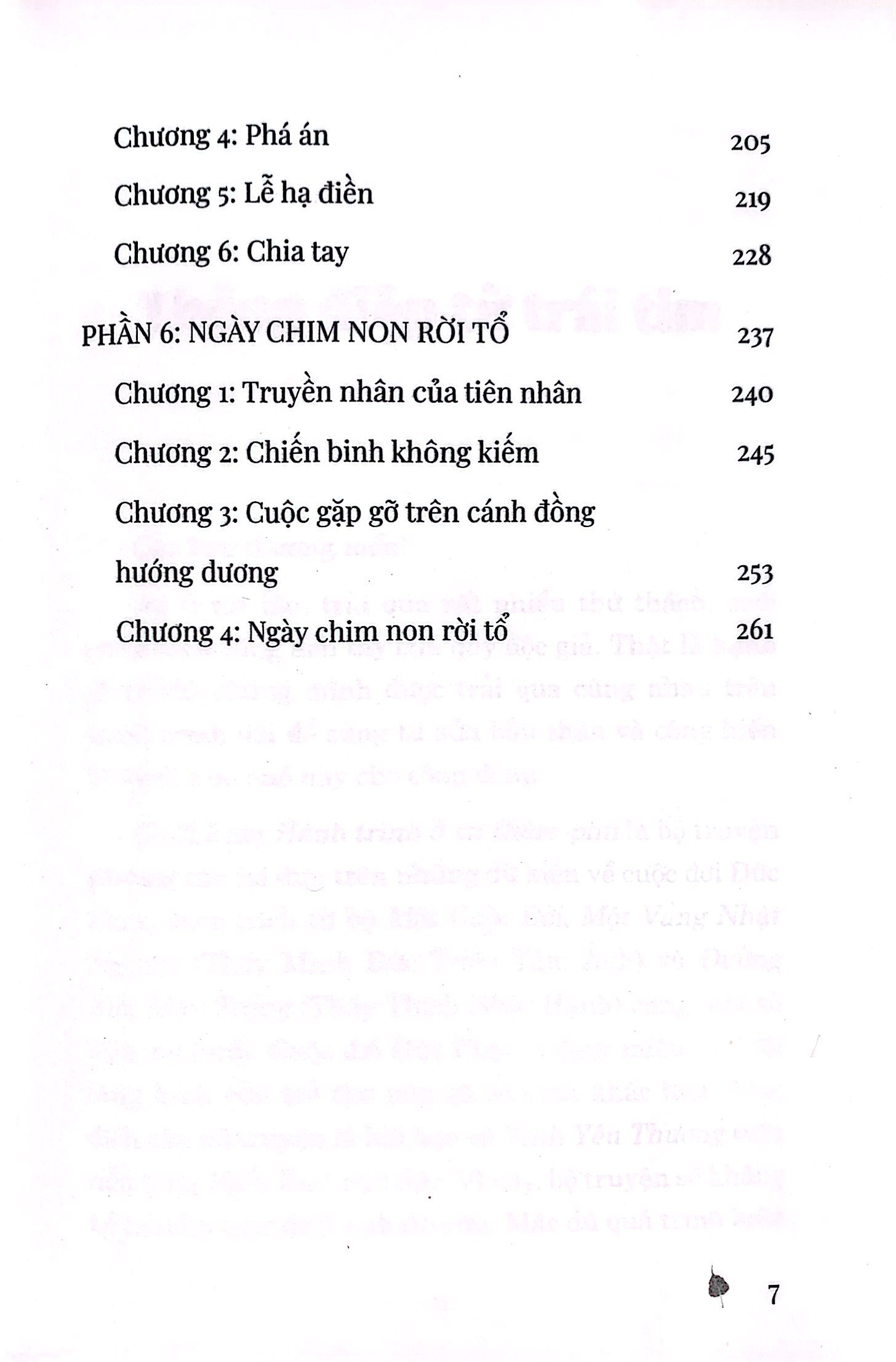 bộ hành trình ở xứ diêm-phù - tập 1