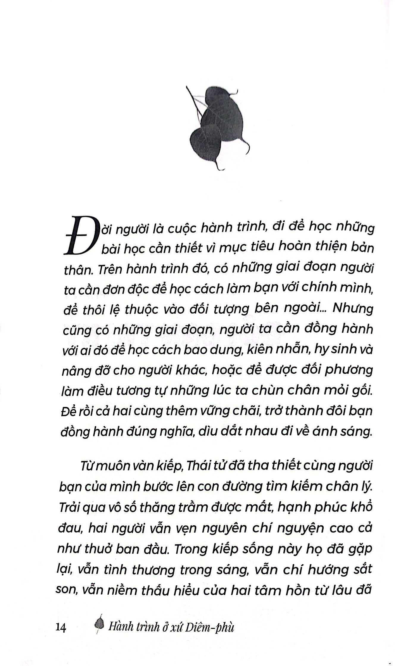 bộ hành trình ở xứ diêm-phù - tập 2