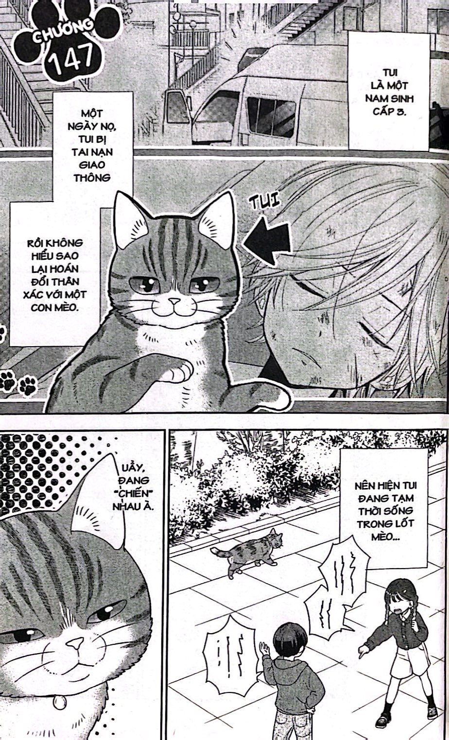 Bo
						
										
										He Lo Nyao - Chuyen Ve Chu Meo Chuyen Hong Hot - Tap 12