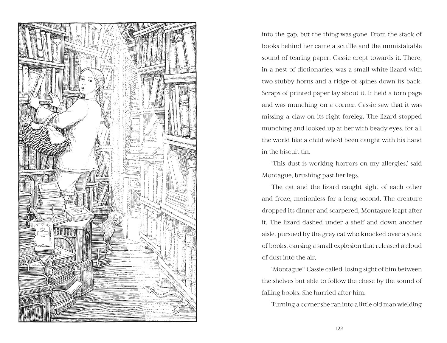 Bo
						
										
										Hedgewitch - Book 1