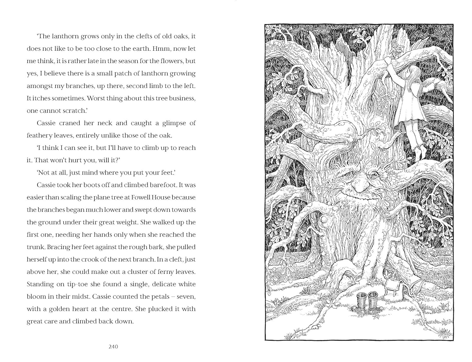 Bo
						
										
										Hedgewitch - Book 1