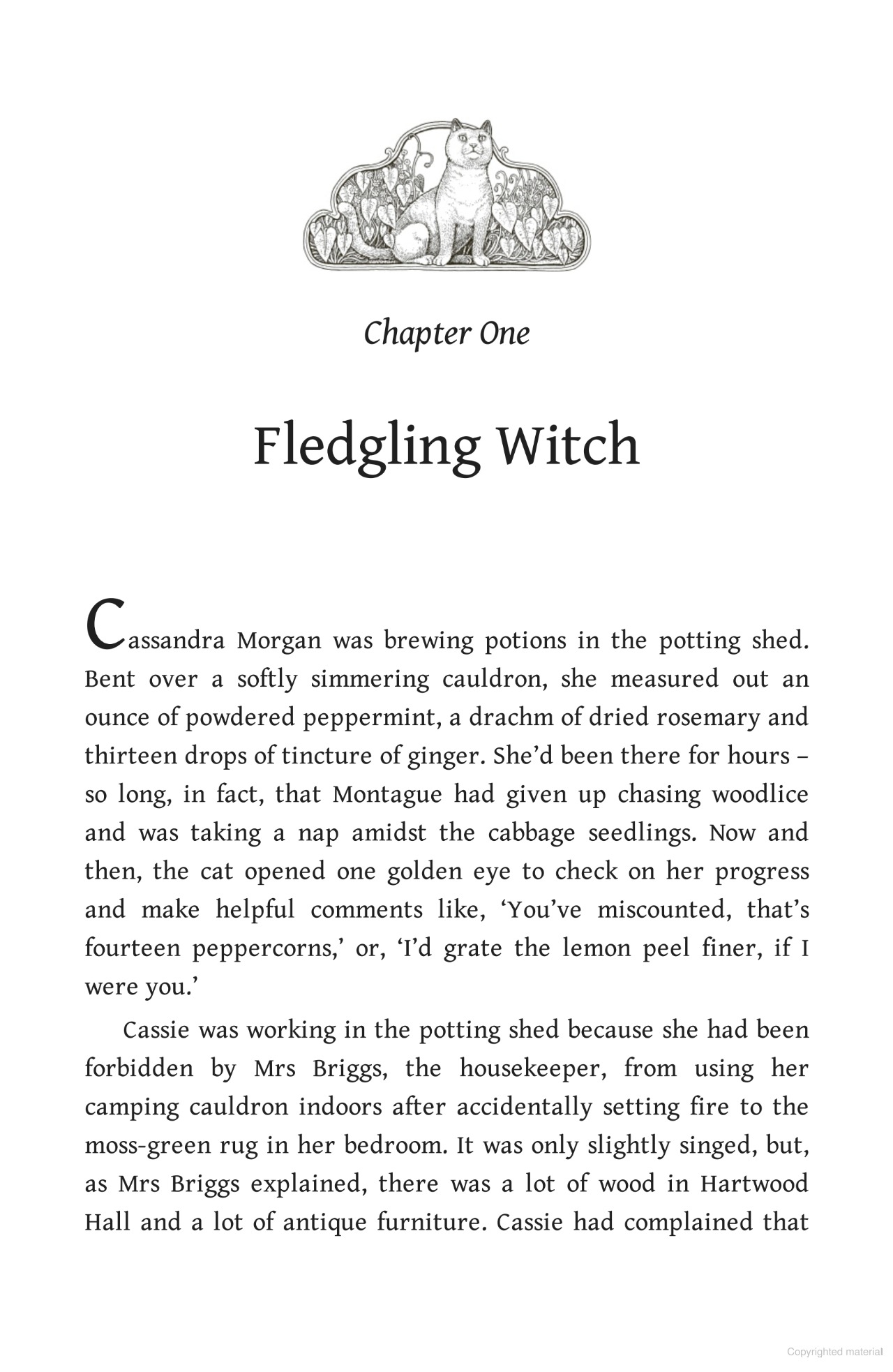 Bo
						
										
										Hedgewitch - Book 2 - Woodwitch