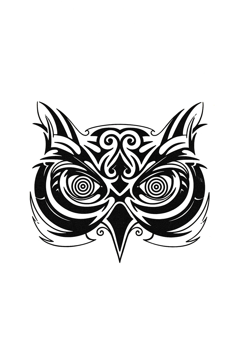 bộ hiệu ứng chim mồi - tập 1 (tái bản 2023)