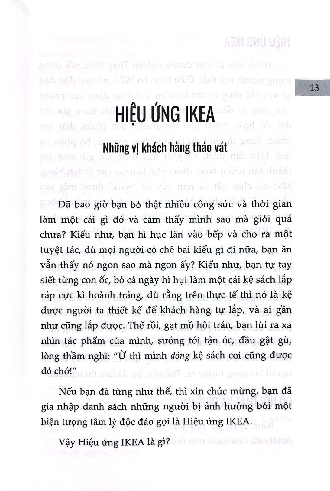 Bộ Hiệu Ứng Chim Mồi - Tập 2 (Tái Bản 2024)
