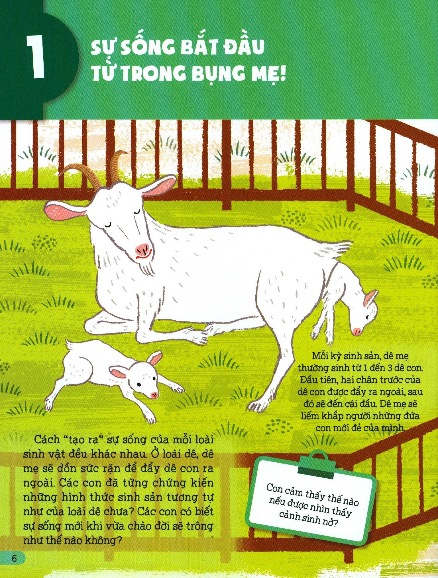 bộ hiểu về sự sống - tập 1 - sự sống bắt đầu từ đâu