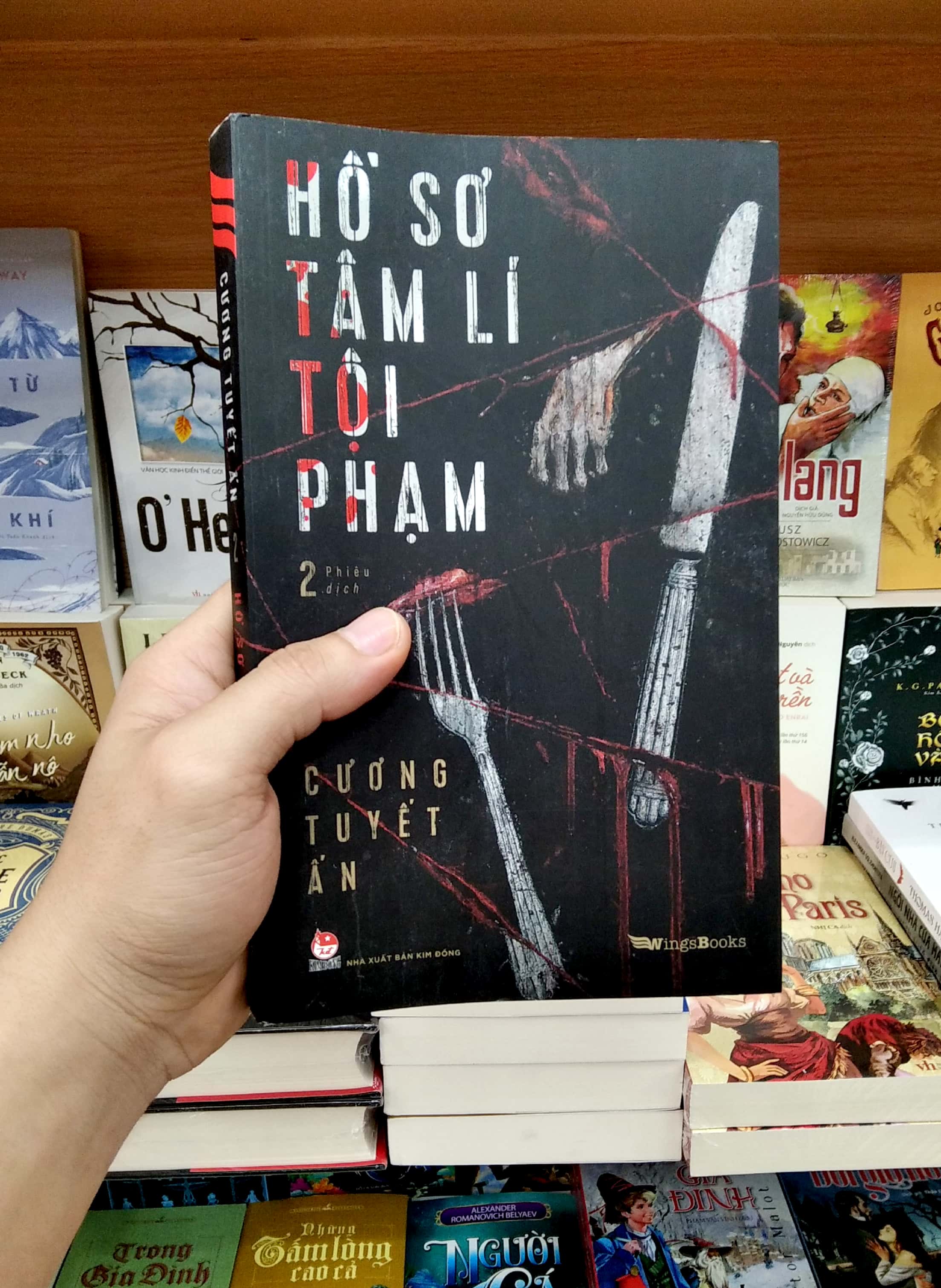 bộ hồ sơ tâm lí tội phạm - tập 2