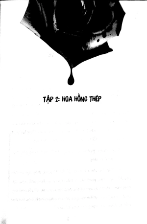 bộ hoa hồng thép - bút lục về các vụ án quốc tế đặc biệt (tập 2)