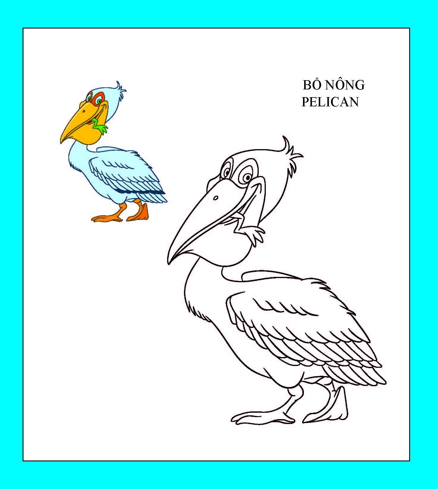 bộ họa sĩ nhí tô màu - loài vật 1 (tái bản 2023)