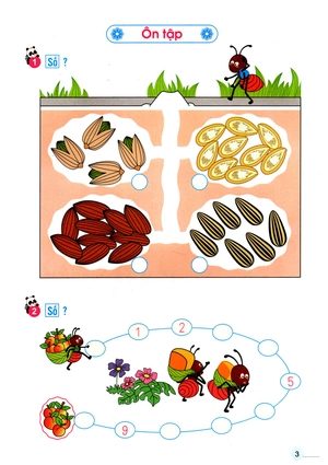 bộ học toán cùng kiến càng 2