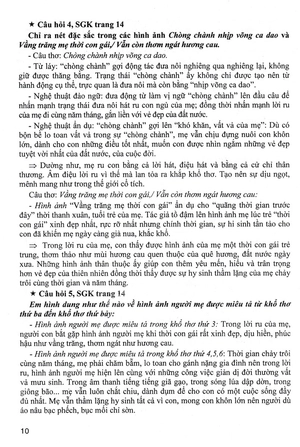 bộ hướng dẫn học ngữ văn 8 - tập 1 (bám sát sgk chân trời sáng tạo)