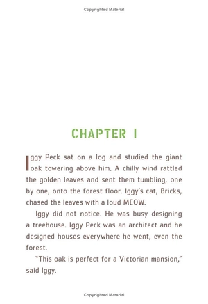 bộ iggy peck and the mysterious mansion: the questioneers book #3