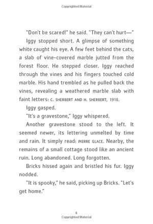 bộ iggy peck and the mysterious mansion: the questioneers book #3