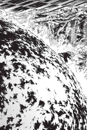 bộ jujutsu kaisen 14 (english edition)