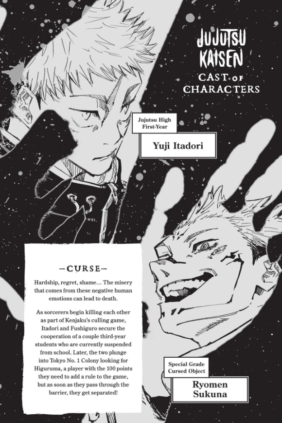 bộ jujutsu kaisen 19 (english edition)