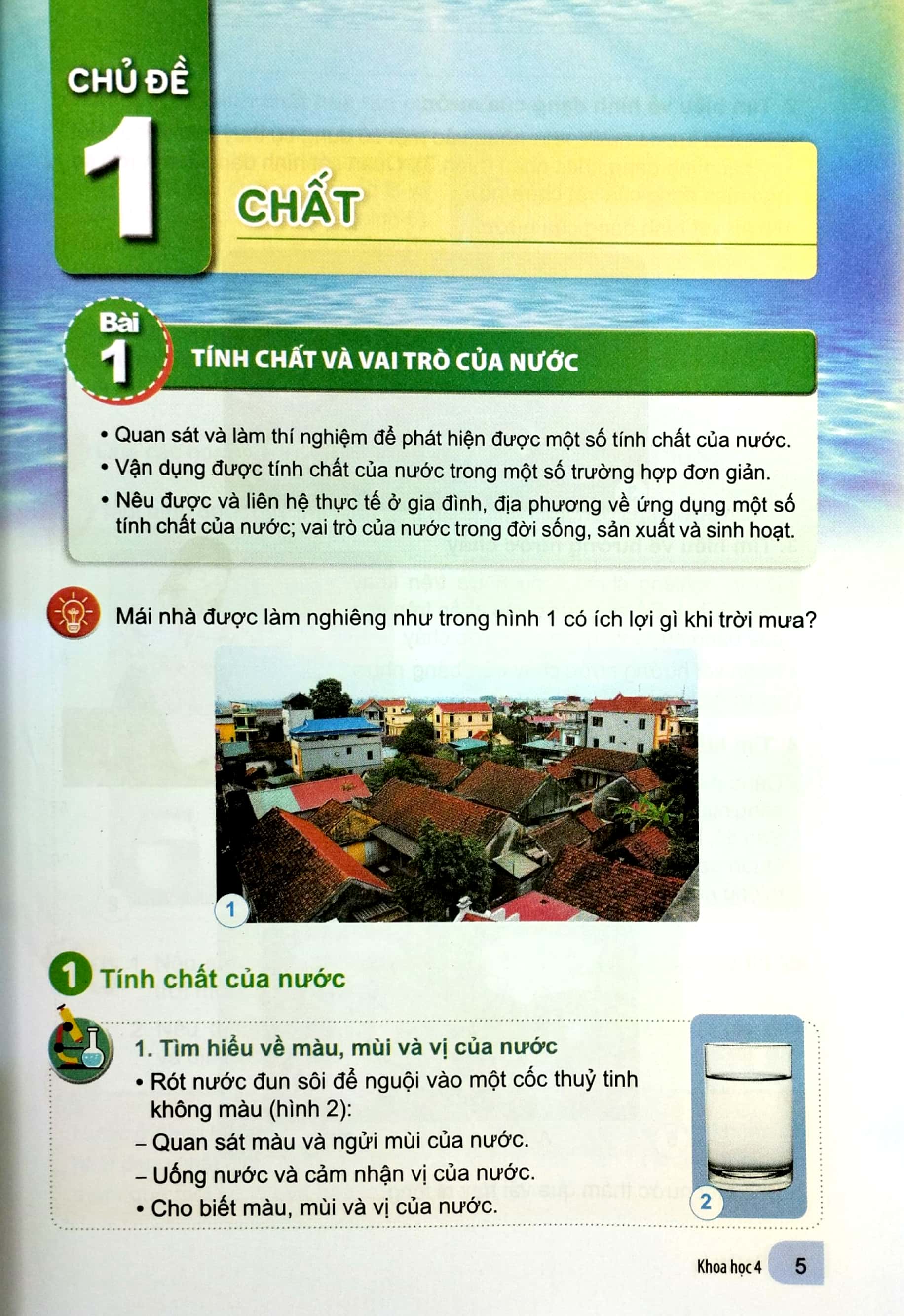 bộ khoa học 4 (cánh diều) (chuẩn)