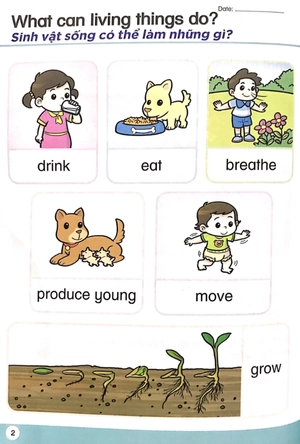 bộ khoa học tiền tiểu học song ngữ - sách học 4