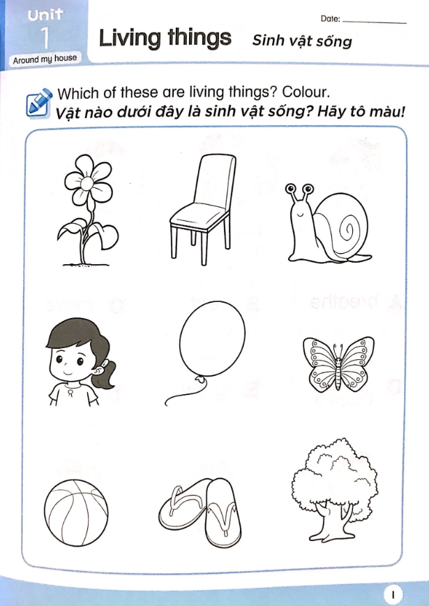 bộ khoa học tiền tiểu học song ngữ- sách luyện tập 4