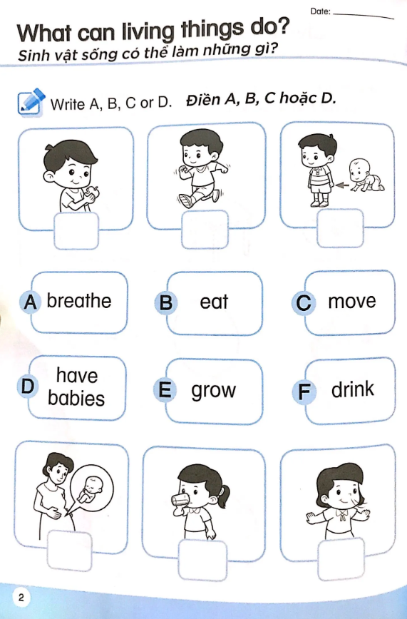 bộ khoa học tiền tiểu học song ngữ- sách luyện tập 4