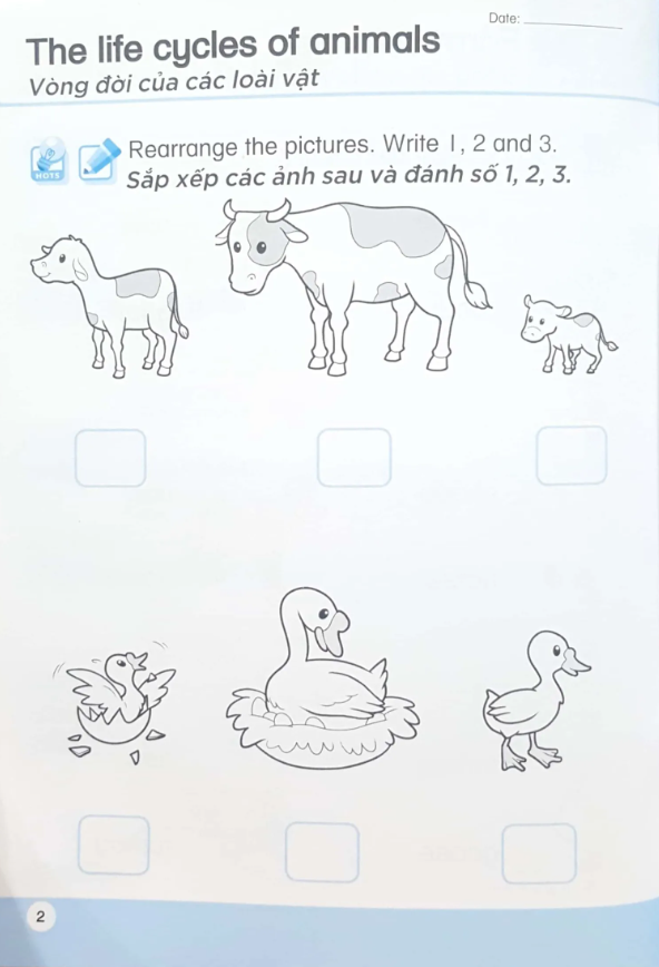 bộ khoa học tiền tiểu học song ngữ- sách luyện tập 5