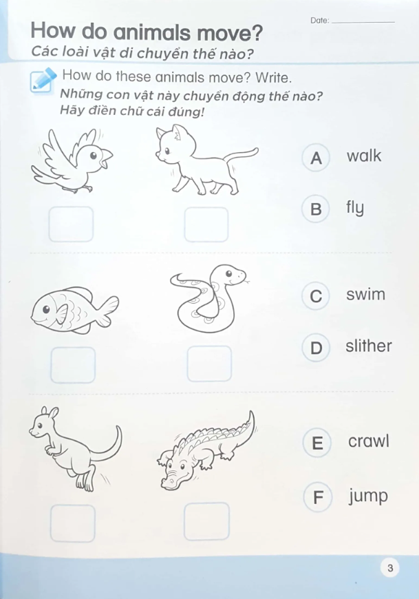 bộ khoa học tiền tiểu học song ngữ- sách luyện tập 5