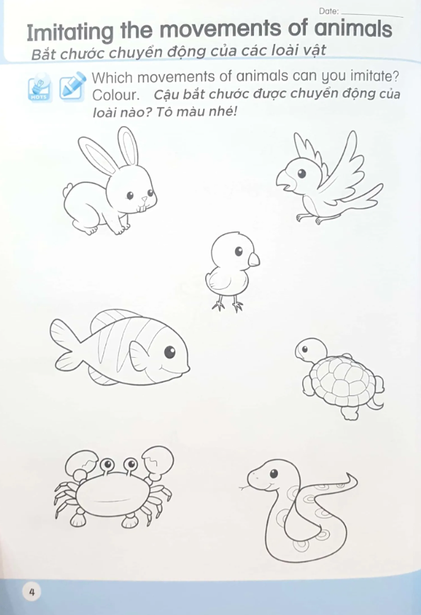 bộ khoa học tiền tiểu học song ngữ- sách luyện tập 5