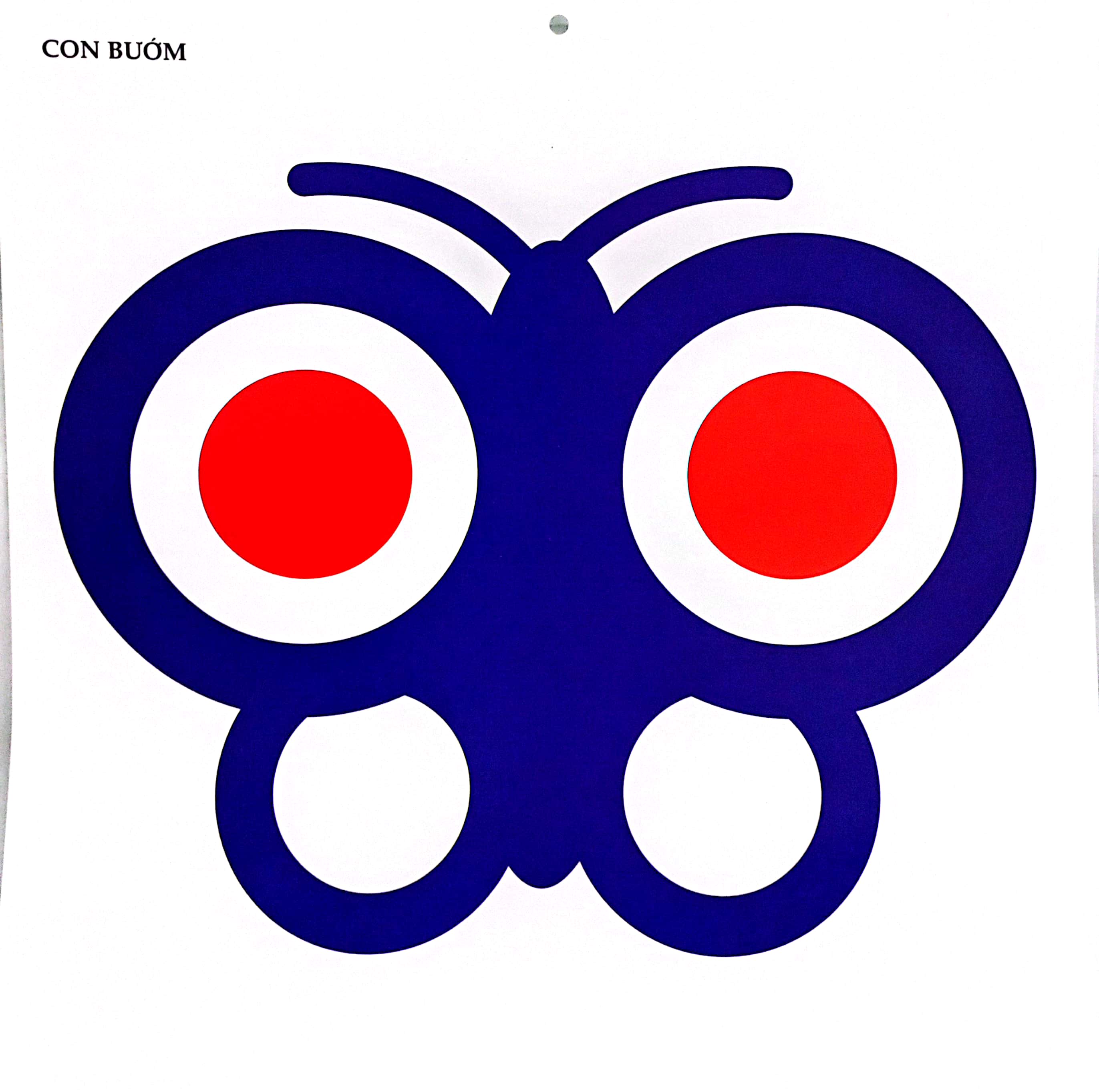 bộ kích thích phát triển thị giác cho bé - 5 tháng tuổi (tái bản 2019)