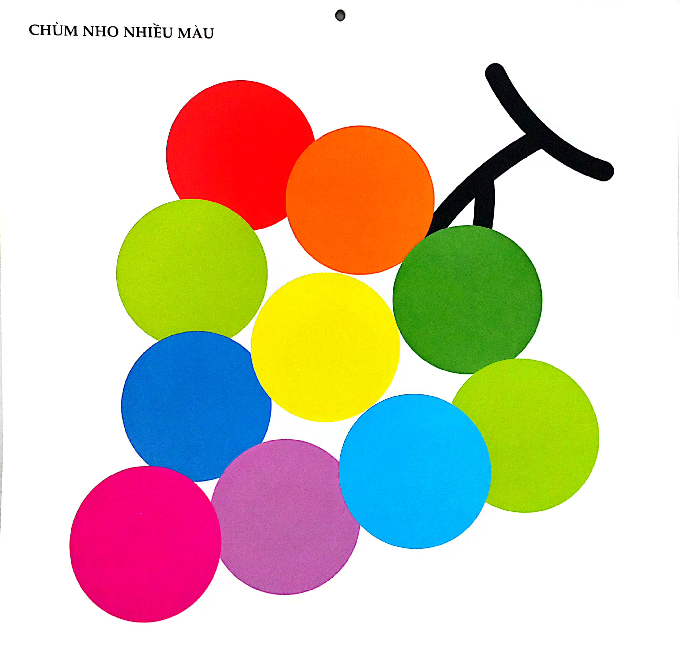 bộ kích thích phát triển thị giác cho bé - 5 tháng tuổi (tái bản 2019)