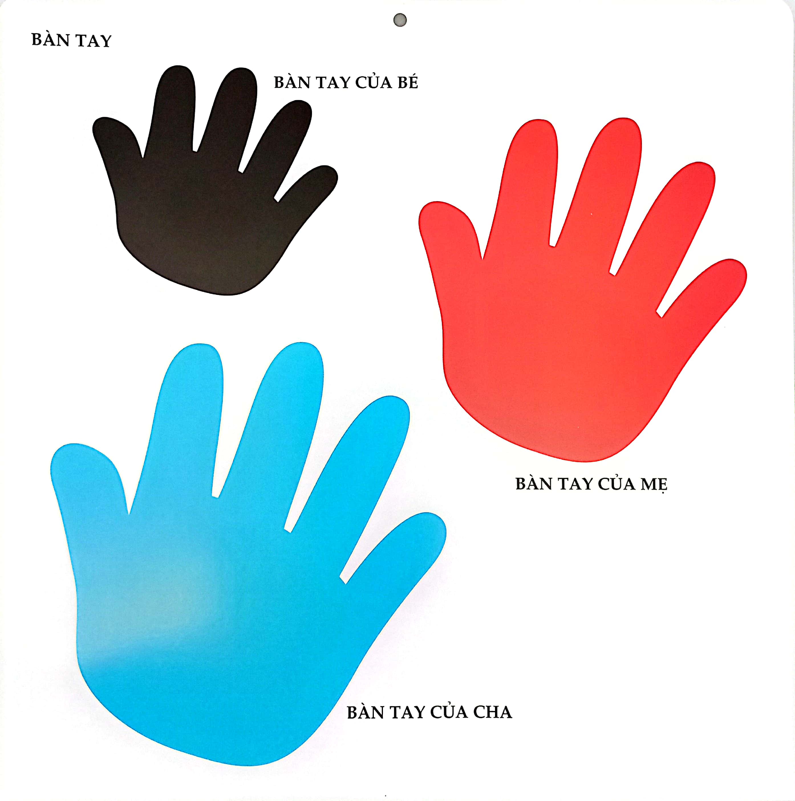 bộ kích thích phát triển thị giác cho bé - 6 tháng tuổi (tái bản 2019)