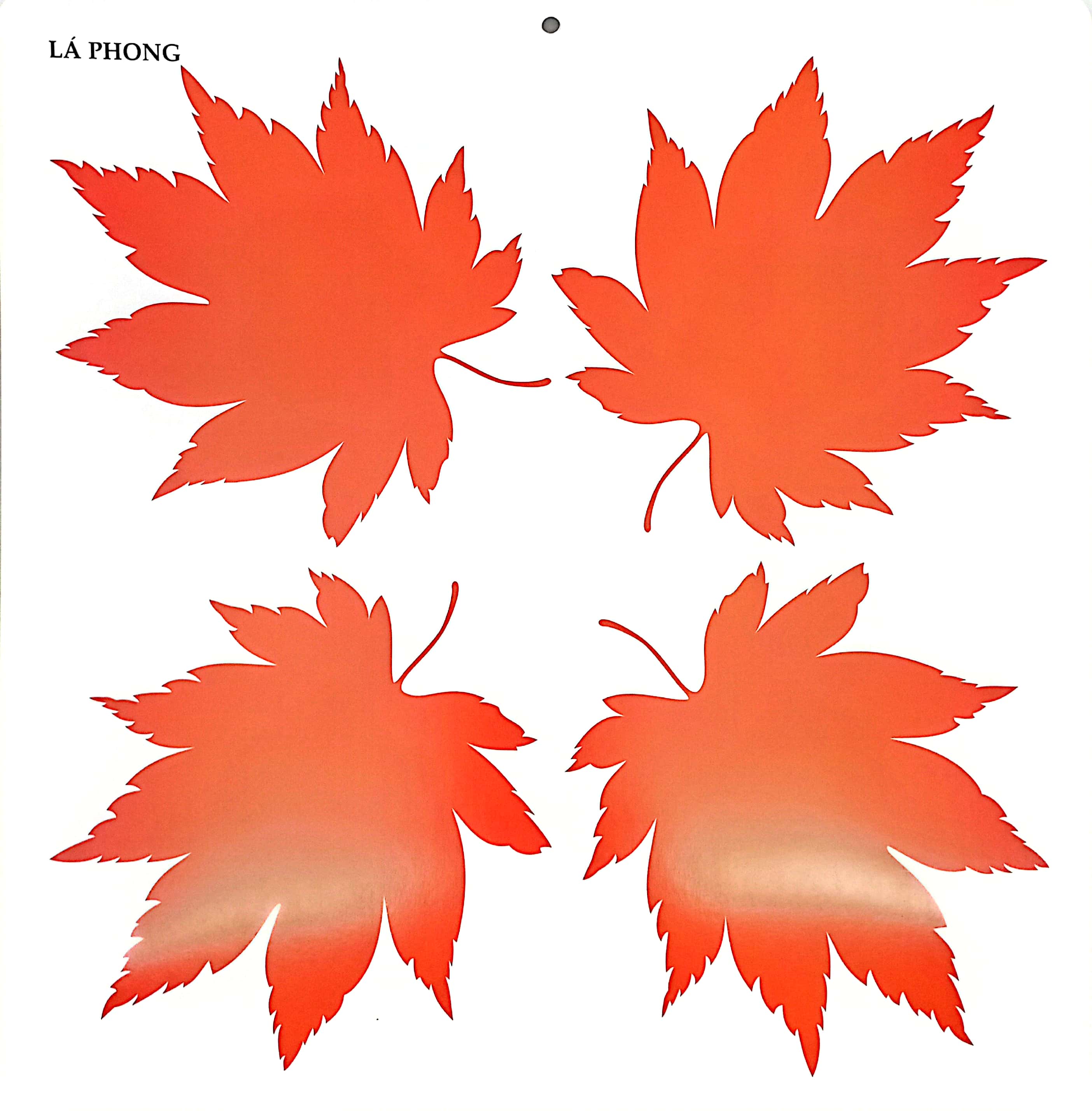 bộ kích thích phát triển thị giác cho bé - 6 tháng tuổi (tái bản 2019)