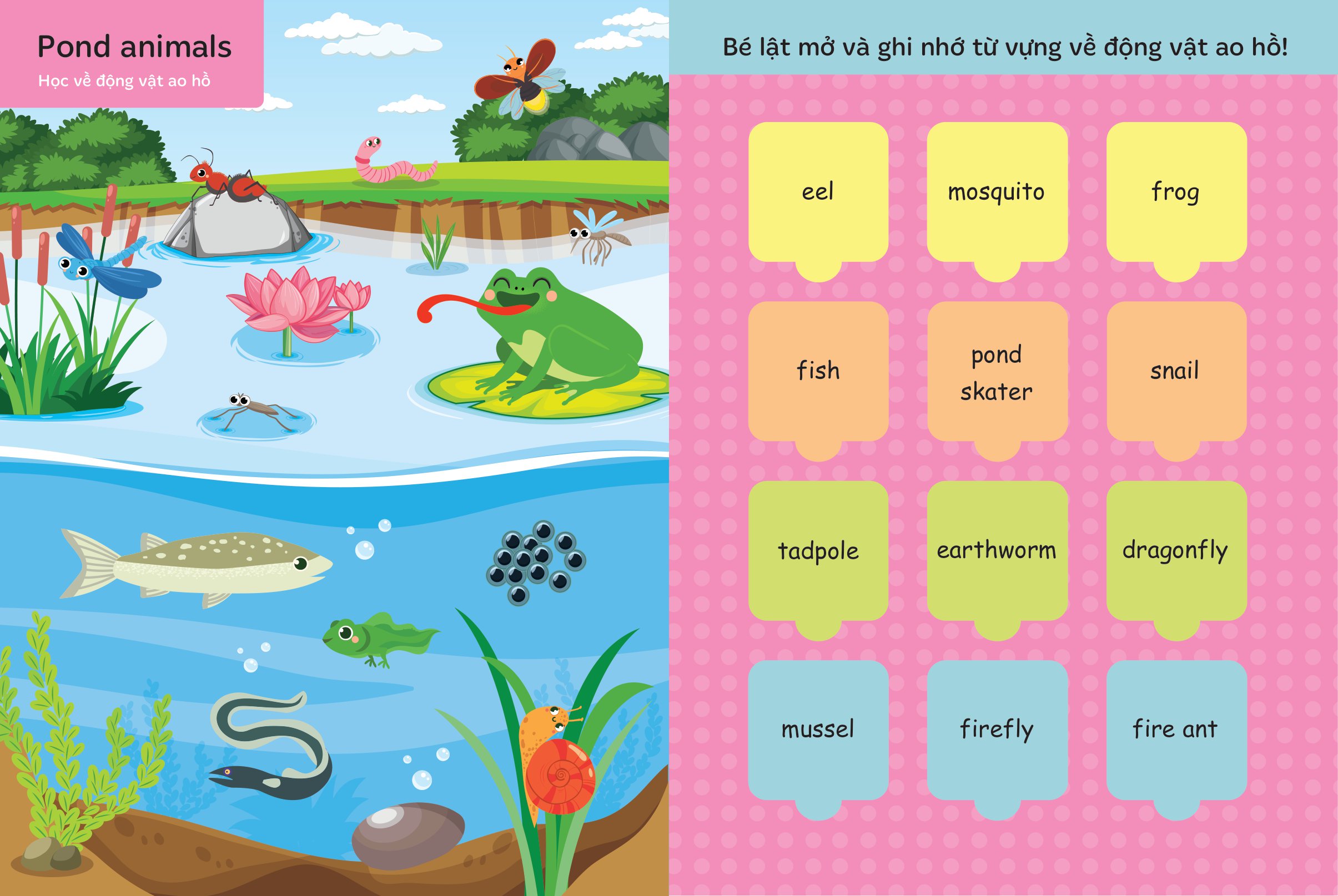 bộ lật mở từ vựng tiếng anh đầu tiên cho bé - cuốn 3