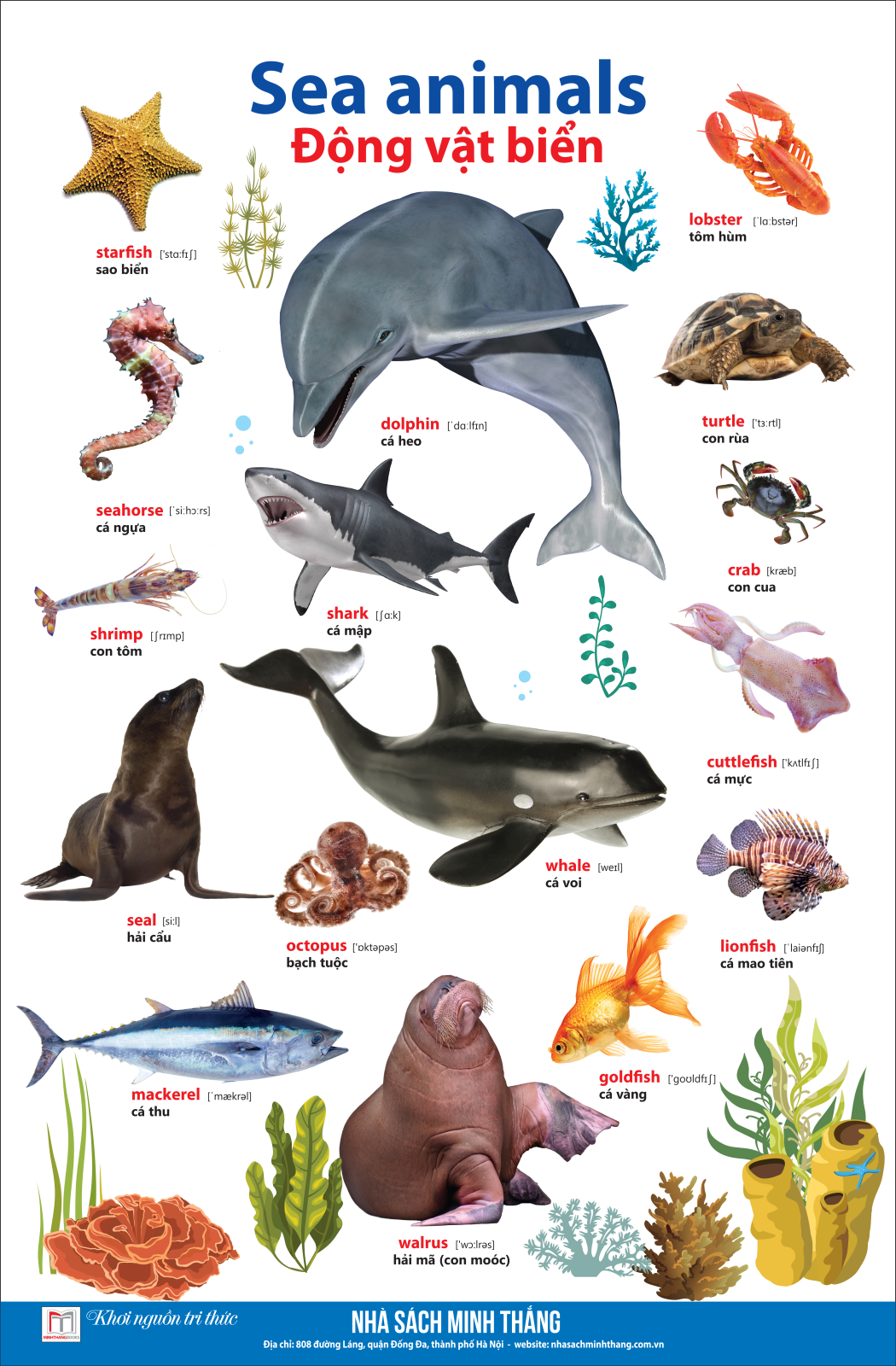 bộ learing english by pictures - học tiếng anh bằng hình ảnh - tập 1 (tái bản)