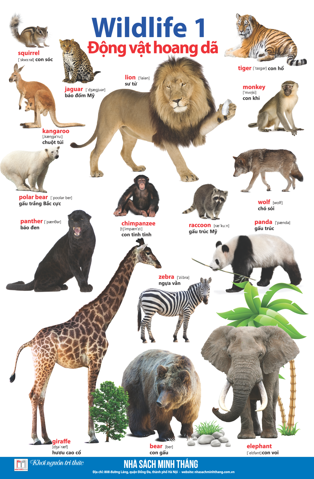 bộ learing english by pictures - học tiếng anh bằng hình ảnh - tập 1 (tái bản)