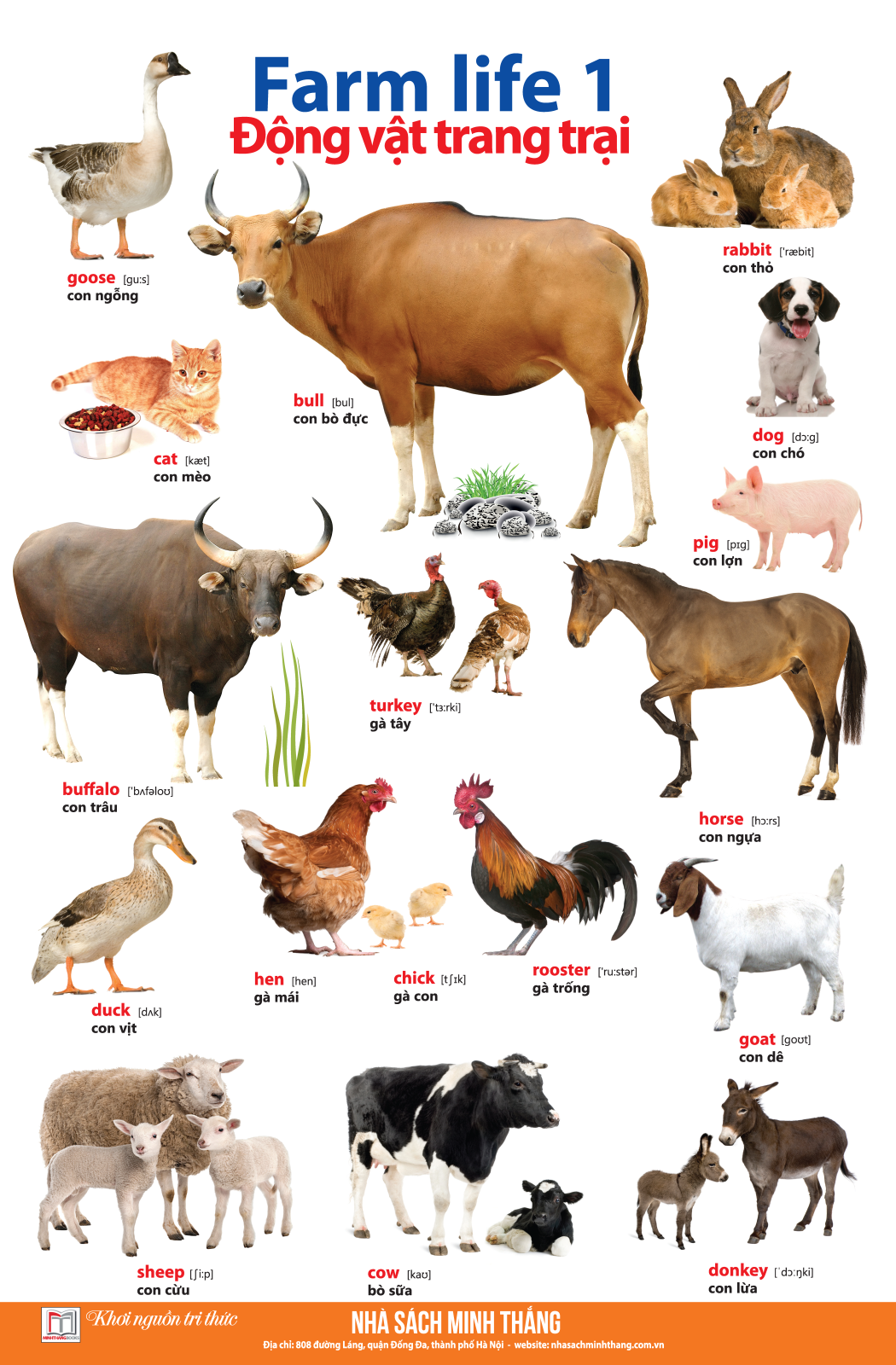 bộ learing english by pictures - học tiếng anh bằng hình ảnh - tập 1 (tái bản)