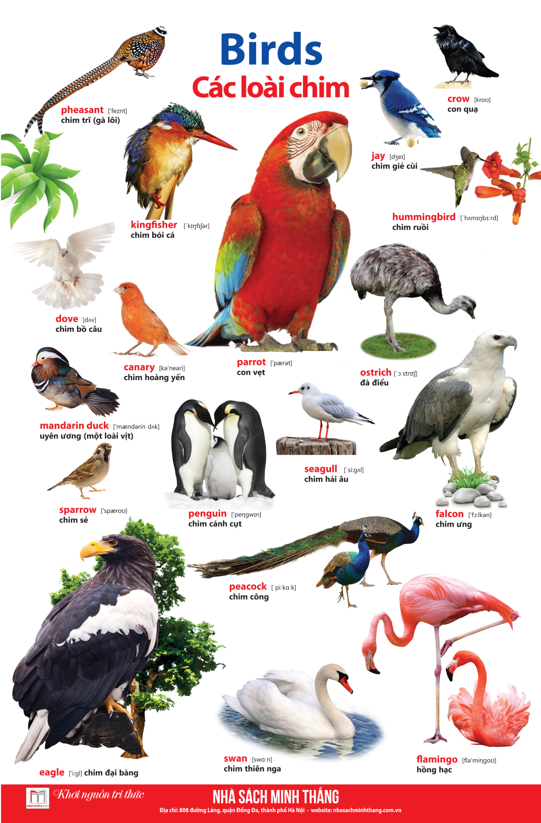 bộ learing english by pictures - học tiếng anh bằng hình ảnh - tập 1 (tái bản)