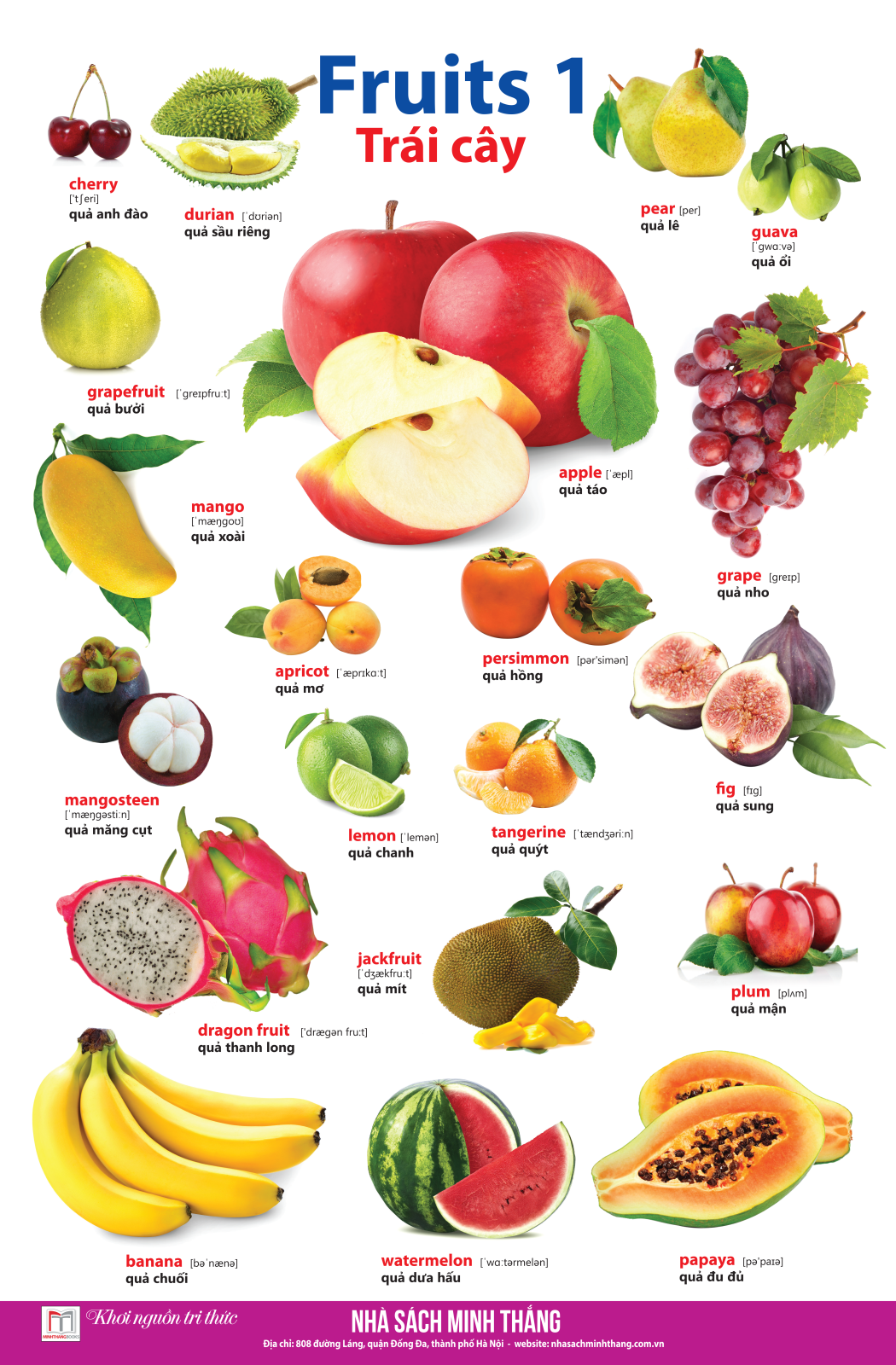 bộ learing english by pictures - học tiếng anh bằng hình ảnh - tập 1 (tái bản)